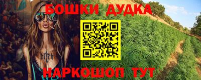 ешки Ставрополь