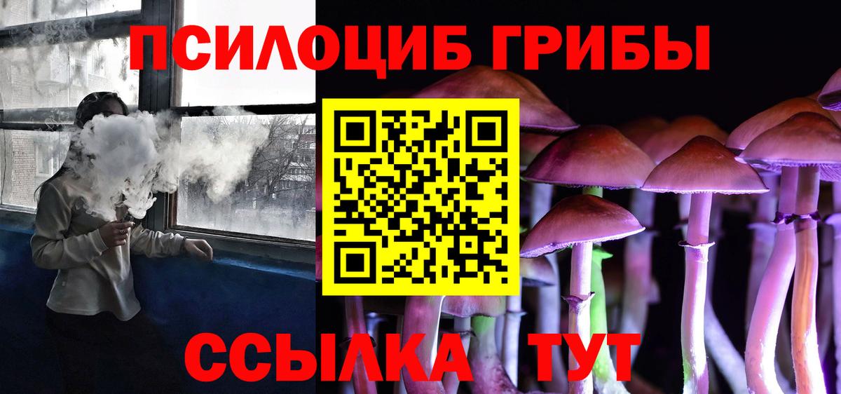Псилоцибиновые грибы Psilocybine cubensis  Вход с VPN  Белогорск 